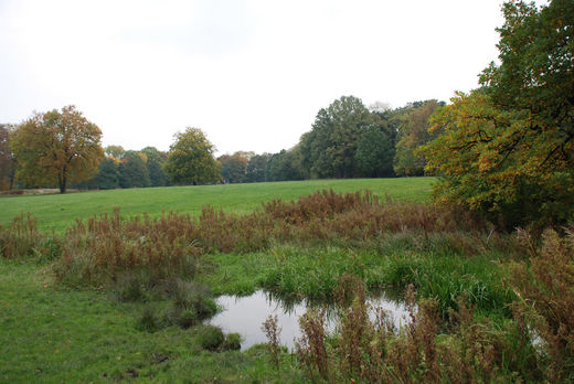Teich und Wiese im Jenisch Park