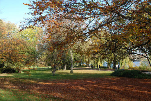 Herbst im Alsterpark