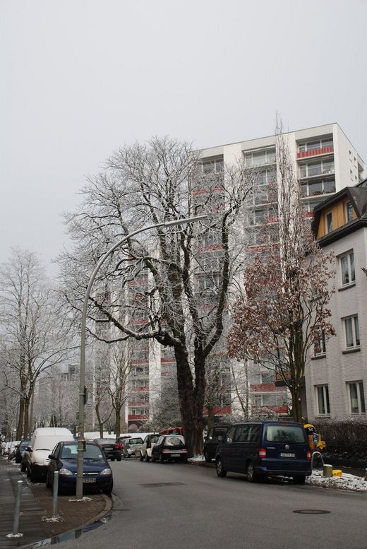 Winterliche Dorotheenstrasse Ecke Krner