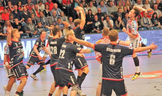 HSV Handball - Flensburg-Handewitt 2