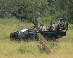 Safari in der Kalahari