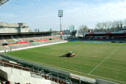 Der Rasen am Millerntor wird fr das Spiel gegen Hannover 96 vorbereitet.
