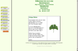 Ginkgo-Biloba-Therapien