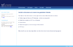 trizwo GmbH IT & Communication
