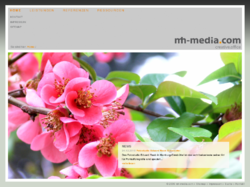 mh-media.com, Internetdienstleistungen & Service