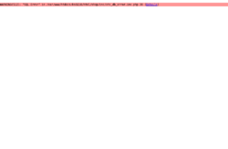 Nexus Service