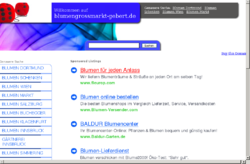 Jörg Gebert Tannen Bindegrün Pflanzengrosshandel