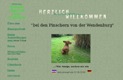 Hunde Tiere Zwergpinscher Hundezeitschrift Tierärzte