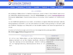 Consumer Fieldwork, Panel Sampling & Internet Surveys