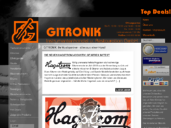 Gitronik Instrumentenhandel und Restauration GmbH