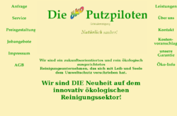 Die Putzpiloten