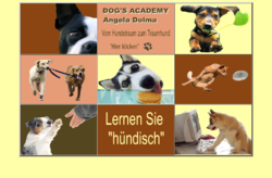 Dogs Academy Hundeschule Wedel