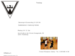 WTBOX  WingTsun & Boxing