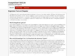 Bügeleisen Test