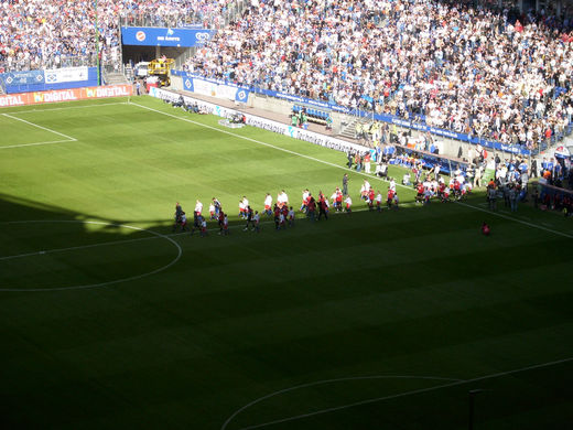 Einlauf Bundesligaspiel HSV - Bayer Leverkusen