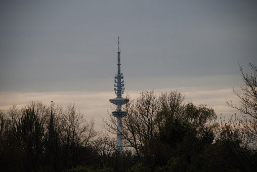 Fernsehturm im Herbst