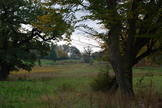 Naturschutzgebiet Flottbektal im Jenischpark