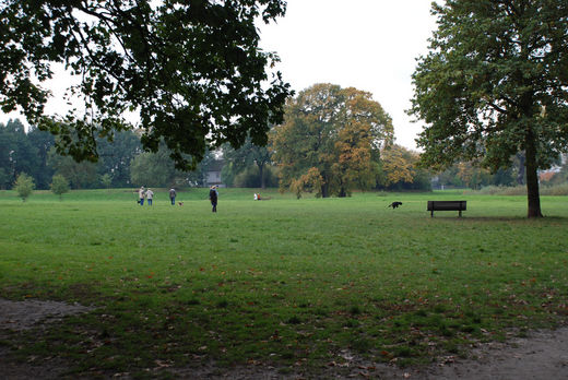 Hundewiese im Jenischpark