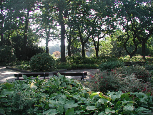 Bume im Park von Planten un Blomen