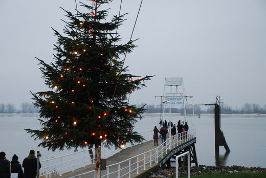 Weihnachtsbaum Willkomm Hft