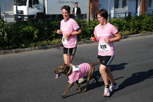 Hund beim Womens Run