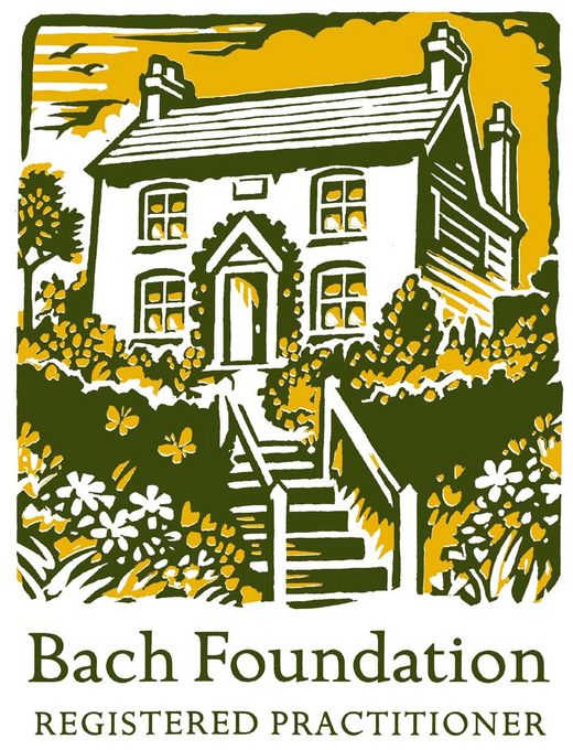 Logo Bach Foundation
