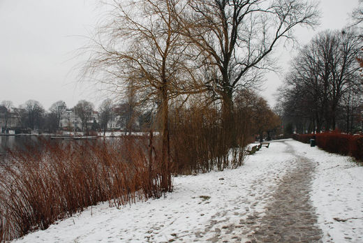 Fussweg am Alsterufer