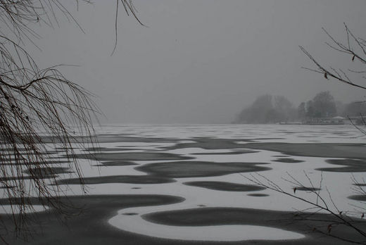 Nebel auf der Alster