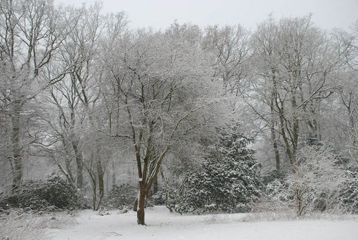 Schneefall im Stadtpark