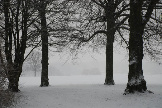 Schnee auf der Stadtparkwiese