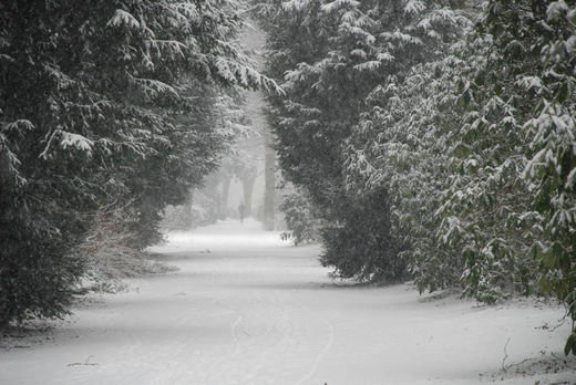 Winter im Stadtpark