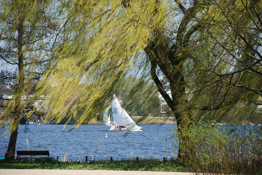 Wind auf der Aussenalster