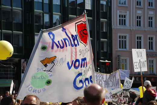 Runter vom Gas Schulreform Demo Plakat