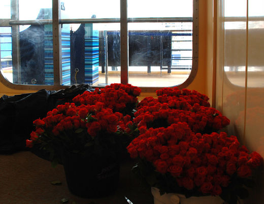 Rosen zur Begrüßung auf Mein Schiff