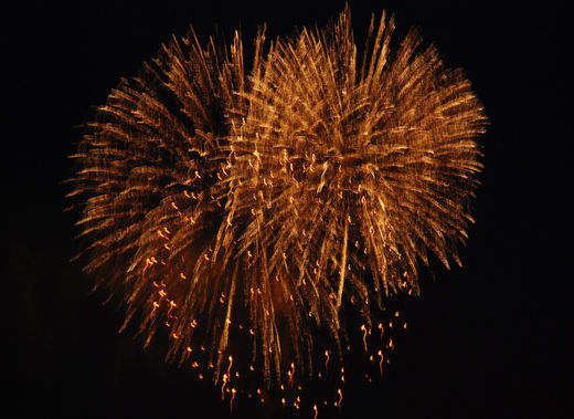 Goldregen beim Kirschbltenfeuerwerk 2009