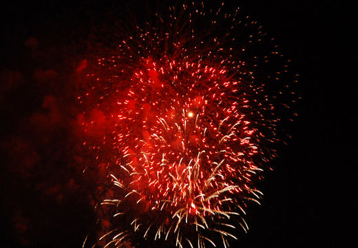 Kirschbluetenfeuerwerk ber Hamburg