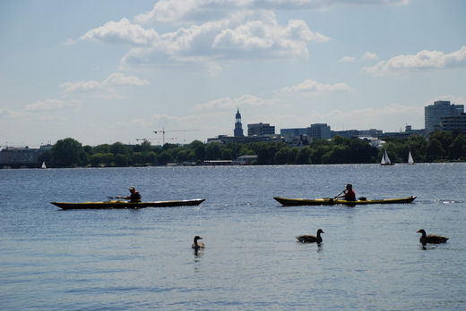 Kanuten auf der Aussenalster