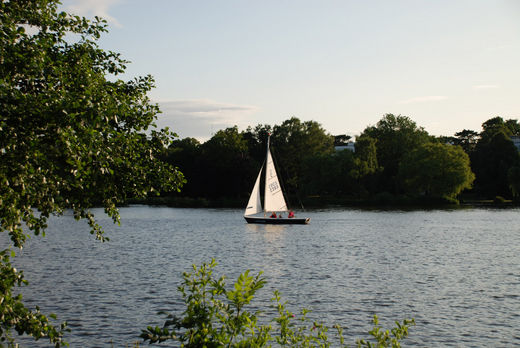 Segelschiff auf Hhe Bellevue