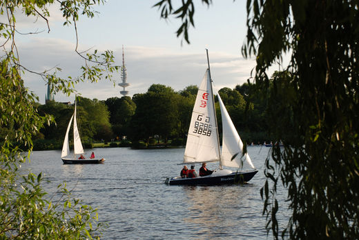 Segler auf der Aussenalster