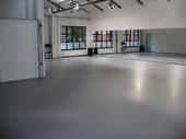 Winter- und Sommertanztage in Hamburg - dance institue hamburg - Gina Workshops