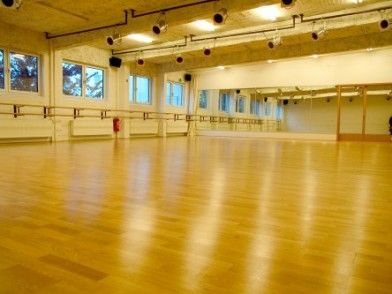 Trend Move Specials, Tanzworkshops & Pädagogenseminare - dance institute hamburg - Gina Workshops