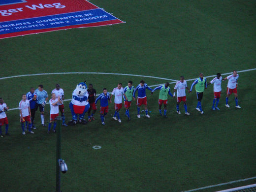 Jubel nach Heimsieg - HSV - VfB Stuttgart (2009/2010)