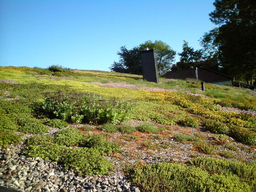 DSC00198
