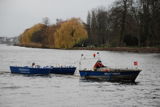 Schwanentransport kurz vor Krugkoppelbrcke