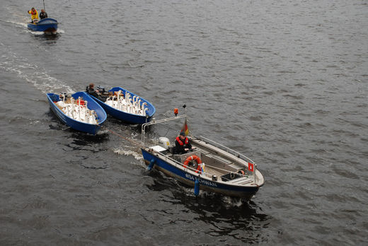 WS4 Schwan zieht zwei Schwanenboote