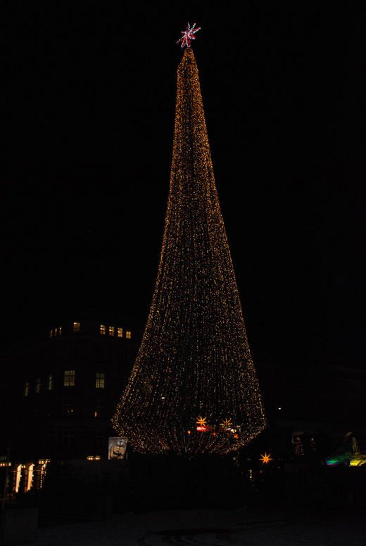 Weihnachtsbaum Rathausmarkt