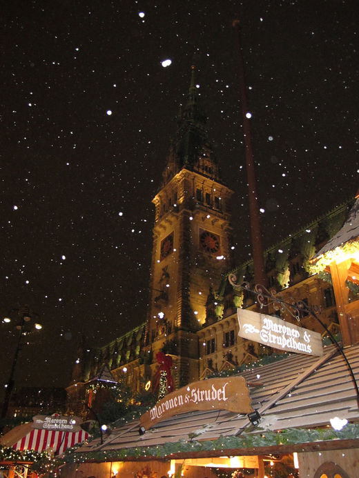 Hamburger Rathaus im Schnee