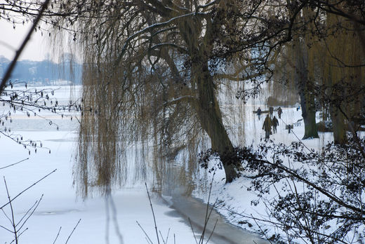 Nördliches Alsterufer Winter 2010