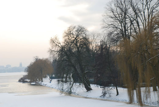 Winterliches linkes Alsterufer