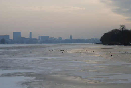 Vgel auf der gefrorenen Aussenalster